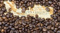 Rajin Ngopi, Belum Rajin Genjot Produksi