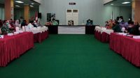 DP3APM Jemput Bola Data Kota Layak Anak Ke OPD