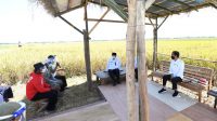No Rice Imports, VAT on Staple Food, Minister Says