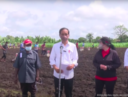 Miliki Potensi Besar, Presiden Jokowi Minta Produktivitas Pertanian di Papua Barat Ditingkatkan