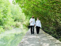 Presiden Jokowi Tinjau Hutan Mangrove di Bali