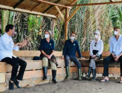 Kesan dan Apresiasi Para Dubes Ikut Tanam Mangrove Bersama Presiden