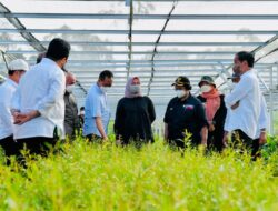 Gov’t to Rehabilitate Forests in Nusantara Capital City
