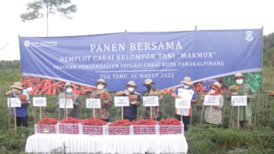 Panen Cabai Bersama Petani, Molen Ingin Jadikan PGK Tonggak Agro-Swasembada