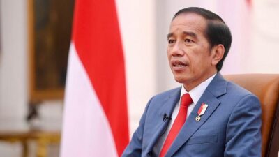 President Jokowi Appointed as UN Champions Group Member