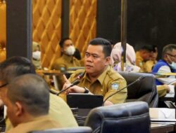 PMD Bintan Beri Paparan Harapkan Aparatur Desa Disiplin Birokrasi