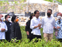 President Jokowi: Mentawir Nursery Becomes Government’s Commitment in Managing Environment