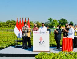 President Jokowi Inaugurates Rumpin Nursery Center, Mangrove Rehabilitation in W. Java