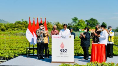 President Jokowi Inaugurates Rumpin Nursery Center, Mangrove Rehabilitation in W. Java