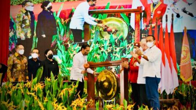 Capital Relocation to Go as Planned, President Jokowi Says