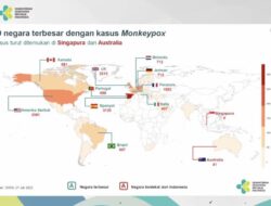 Health Ministry: No Monkeypox Cases Reported in Indonesia