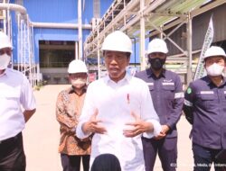 Presiden Dorong PT Timah Ikuti Hilirisasi Nikel