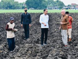 Presiden Jokowi Dorong Kemandirian Gula Nasional