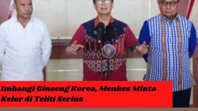 Imbangi Ginseng Korea, Menkes Minta Kelor di Teliti Serius