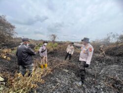 Tim Gabungan Berhasil Padamkan Api Karhutla di Pulau Merbau