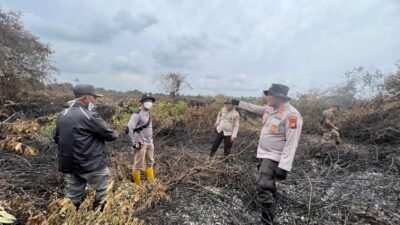 Tim Gabungan Berhasil Padamkan Api Karhutla di Pulau Merbau