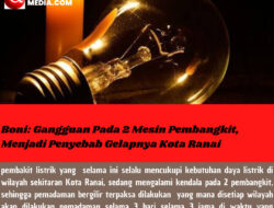 Boni: Gangguan Pada 2 Mesin Pembangkit, Menjadi Penyebab Gelapnya Kota Ranai