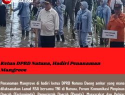 Ketua DPRD Natuna, Hadiri Penanaman Mangrove