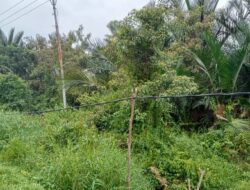 Warga Keluhkan Lambatnya Perbaikan Kabel SKU Listrik PLN ULP Selat Panjang yang Rusak di Meranti