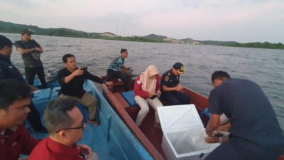 5.500 Ekor Baby Lobster Akan di Selundupkan, 4 Orang Diamankan Ditreskrimsus Polda Kepri