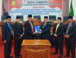 Meninjau Implementasi  Otonomi Daerah Saat ini
