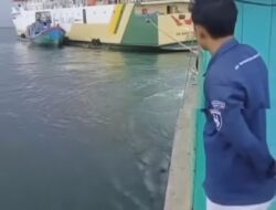 AIS di Matikan, KM Sabuk 80 Kandas, “Mampukah Syahbandar Menegakan Sanksi”