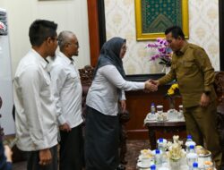 Audiensi dengan BPKP dan BPK Perwakilan Kepri, Gubernur Kepri Apresiasi Kinerja Dukung Pemprov