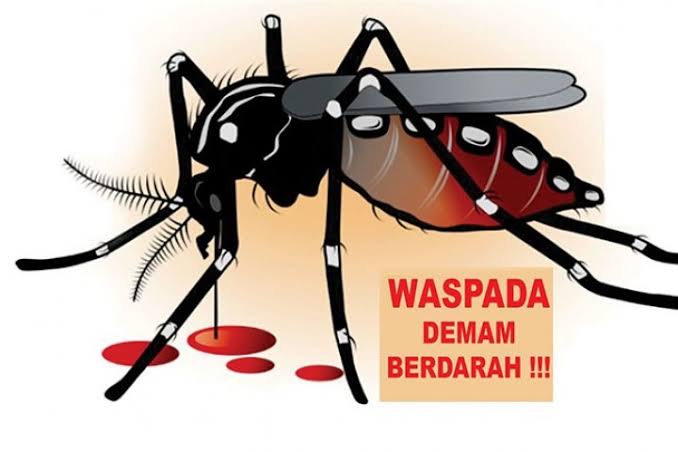 DBD Natuna Tidak Mengenal Musim, Antisipasi Dinkes di Pertanyakan