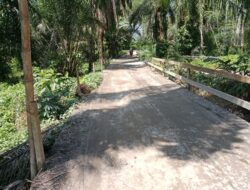Besi Pagar Pengaman Menuju Jembatan Penghubung Antara Kecamatan Sei Dadap Dengan Kecamatan Air Joman Hilang