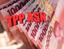 Membuka Tabir TPP ASN Pemkab Natuna