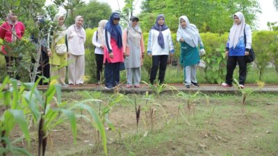 Ketua PKK Asahan Semangat Panen di Dua Lokasi Hatinya PKK