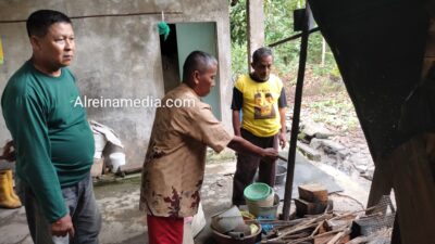 Ular King Cobra Patuk Warga Sembat Sampai Meninggal Dunia