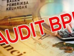 Mengenal Temuan BPK : Masalah Keuangan Yang Harus di Benahi Pemerintah