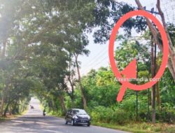 Nelangsa, 1 PJU Kaku Mati Membeku di KM 17 Gunung Lengkuas