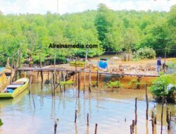 Bebas Transaksi, Izin Dermaga di Kampung Kolam Jadi Tanda Tanya