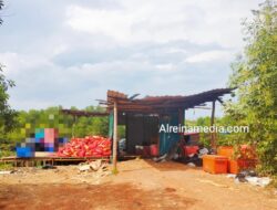 Tok, Penelusuran Perizinan Status Dermaga Kalang Tua di Sei Enam