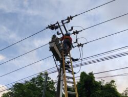 PLN Batam Ungkap Penyebab Pemadaman Listrik di Piayu: Layang-Layang dan Pohon Tumbang