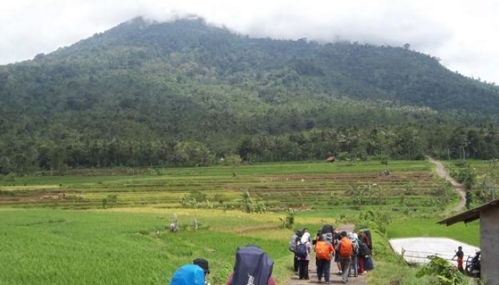 Kapan Jalur Pendakian Gunung Pulosari Dibuka? Ini Penjelasan Perhutani KPH Pandeglang