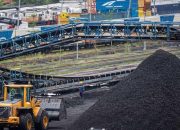PT Bukit Asam Pertimbangkan Perusahaan Tiongkok untuk Pengolahan Batu Bara