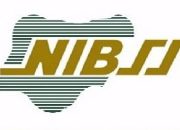 NIBSS Aims for Zero Transfer Fees by 2026