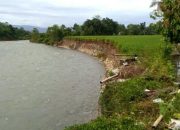 Rencana Buka Lahan Akibatkan Warga Walenrang Luwu Tewas Terbakar Saat Sujud