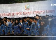 Pemerintah Pastikan PPPK Paruh Waktu Dapat Tunjangan Lengkap: Gaji dan Fasilitasnya Disampaikan