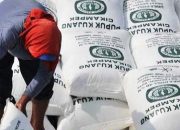 Hadapi Tekanan Ganda, Petani Apel Pasuruan Minta Pupuk Subsidi Dikembalikan