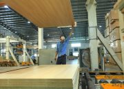Timber Industry Seeks VAT Refund Solutions