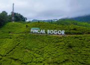Puncak HKN ke-61 di Aceh Tengah Digelar dengan Jalan Santai dan Kesehatan Gratis