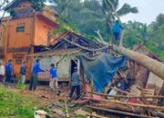 Dampak Cuaca Ekstrem: 745 Rumah Rusak dan 1 Tewas Akibat Pohon Tumbang Jan-Nov 2025