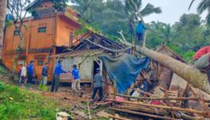 Dampak Cuaca Ekstrem: 745 Rumah Rusak dan 1 Tewas Akibat Pohon Tumbang Jan-Nov 2025