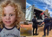 Dark turn in Gus Lamont case as police hit dead end