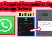 Chat Masuk Tapi Telepon Gagal? Ini Penyebabnya di WhatsApp