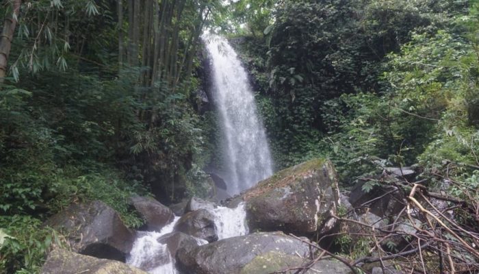Claket: Surga Tersembunyi Pacet, Mojokerto